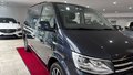 Daumennagel 7 - Volkswagen T6 Multivan Highline