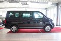 Daumennagel 7 - Volkswagen T5 Multivan Highline 4Motion