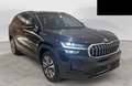 Daumennagel 1 - Skoda Kodiaq 1.5 TSI mHEV Selection  7-SITZER