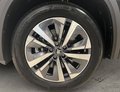 Daumennagel 14 - Skoda Kodiaq 1.5 TSI mHEV Selection  7-SITZER
