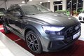 Daumennagel 8 - Audi Q8 50 TDI quattro S-LINE  PANORAMA/AHK/360