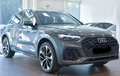 Daumennagel 9 - Audi Q5 40 TDI quattro S line