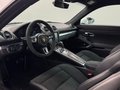 Daumennagel 17 - Porsche 718 Cayman GTS 4.0