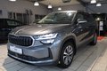 Daumennagel 1 - Skoda Kodiaq 2.0 TDI 4x4 Selection 7-Sitzer