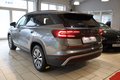 Daumennagel 3 - Skoda Kodiaq 2.0 TDI 4x4 Selection 7-Sitzer
