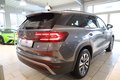 Daumennagel 7 - Skoda Kodiaq 2.0 TDI 4x4 Selection 7-Sitzer