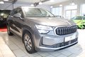 Daumennagel 8 - Skoda Kodiaq 2.0 TDI 4x4 Selection 7-Sitzer