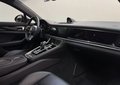 Daumennagel 15 - Porsche Panamera 4 E-Hybrid