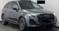 Daumennagel 1 - Audi Q7 60 TFSI e quattro S line