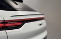 Thumbnail 14 - Porsche Cayenne Coupe E-Hybrid Platinum Edition 360°