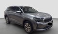 Daumennagel 2 - Skoda Kodiaq 1.5 TSI mHEV Selection 7-SITZER