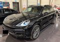 Daumennagel 7 - Porsche Cayenne E-Hybrid Platinum Edition