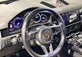 Daumennagel 18 - Porsche Cayenne E-Hybrid Platinum Edition 360°PANO AHK