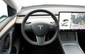 Daumennagel 19 - Tesla Model Y Long Range Dual AWD