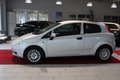 Daumennagel 2 - Fiat Punto 1.4 TÜV-NEU