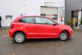 Thumbnail 8 - Volkswagen Polo V PANO