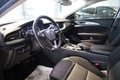 Daumennagel 15 - Opel Insignia B Sports Tourer Business Edition