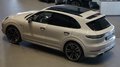 Daumennagel 4 - Porsche Cayenne E-Hybrid Platinum Edition PASM
