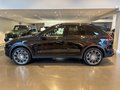 Daumennagel 2 - Porsche Cayenne S Diesel