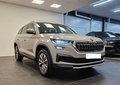 Daumennagel 1 - Skoda Kodiaq Style 4x4*Standheizung*AHK
