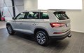 Daumennagel 3 - Skoda Kodiaq Style 4x4*Standheizung*AHK