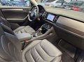 Daumennagel 9 - Skoda Kodiaq Style 4x4*Standheizung*AHK