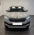 Daumennagel 4 - Skoda Kodiaq Style 4x4*Standheizung*AHK