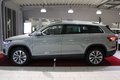 Daumennagel 2 - Skoda Kodiaq Style 4x4*Standheizung*AHK