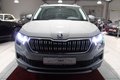 Daumennagel 9 - Skoda Kodiaq Style 4x4*Standheizung*AHK