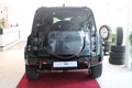 Daumennagel 7 - Land Rover Defender 110 X Panorama Navi AHK Matrix-LED