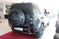 Daumennagel 11 - Land Rover Defender 110 X Panorama Navi AHK Matrix-LED