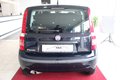 Daumennagel 4 - Fiat Panda 1.2 8V Dynamic AUTOMATIK