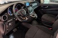 Daumennagel 9 - Mercedes-Benz V250 CDI/BT/d 4MATIC lang  AHK 8Sitzer