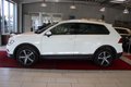 Daumennagel 2 - Volkswagen Tiguan 2.0 TDI Highline BMT *4Motion*V-Cockpit