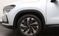 Daumennagel 2 - Skoda Kodiaq 2.0 TDI 4x4 Selection
