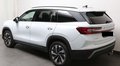 Daumennagel 4 - Skoda Kodiaq 2.0 TDI 4x4 Selection