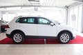 Daumennagel 8 - Volkswagen Tiguan Comfortline 2.0 TSI 4Motion  AHK/STANDHEIZ.