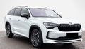 Thumbnail 9 - Skoda Kodiaq 1.5 TSI iV Sportline  CANTON/MEMORY/AHK