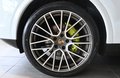 Daumennagel 8 - Porsche Cayenne Coupe E-Hybrid