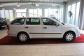 Daumennagel 8 - Skoda Octavia Combi Active KLIMA: