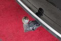 Daumennagel 31 - Audi Q5 50 TDI quattro S line APS Plus B&O Headup NAVI
