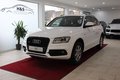 Daumennagel 1 - Audi Q5 2.0 TDI 120 kW quattro S-Line*AHK*NAVI