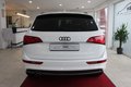 Daumennagel 3 - Audi Q5 2.0 TDI 120 kW quattro S-Line*AHK*NAVI