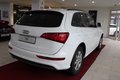 Daumennagel 4 - Audi Q5 2.0 TDI 120 kW quattro S-Line*AHK*NAVI