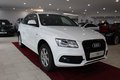 Daumennagel 7 - Audi Q5 2.0 TDI 120 kW quattro S-Line*AHK*NAVI
