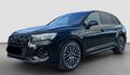 Daumennagel 1 - Audi Q7 60 TFSI e quattro S line