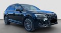 Daumennagel 10 - Audi Q7 60 TFSI e quattro S line