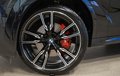 Daumennagel 15 - BMW X6 30 d xDrive M Sport PANO