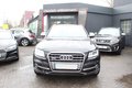 Daumennagel 4 - Audi SQ5 3.0 TDI quattro