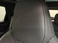 Daumennagel 15 - Porsche Cayenne E-Hybrid Platinum Edition
